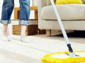 菲式管家家政加盟人气解析 专业服务与市场潜力并存