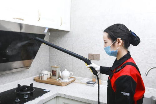 安心找家政，幸福购生活——三替集团上演家政年货盛宴